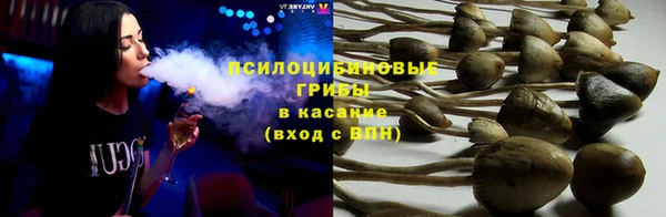 скорость Белокуриха