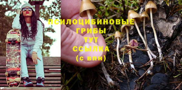 скорость Белокуриха
